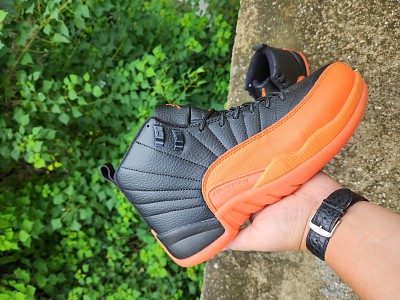 Men Jordan 12-191