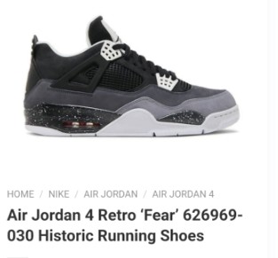 Men Jordan 4-385