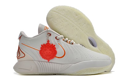 LeBron James-016