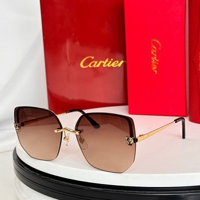 Cartie Glasses-408