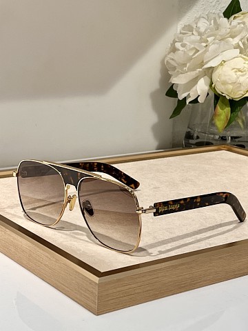 Palm Glasses-245